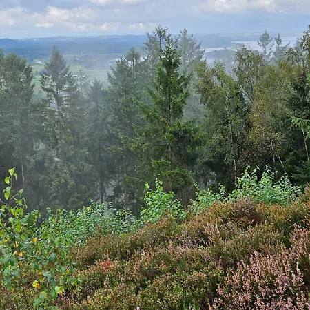 Holmely Frühstückspension Brædstrup