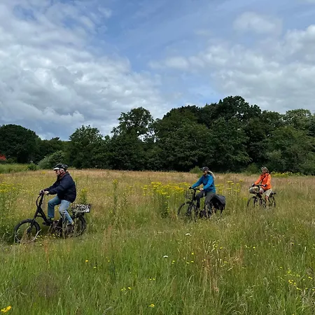 Frühstückspension Holmely Brædstrup
