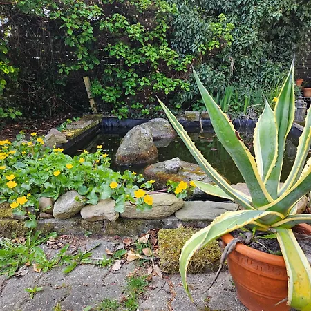 Frühstückspension Holmely Brædstrup