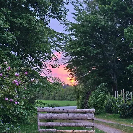 Holmely * Brædstrup