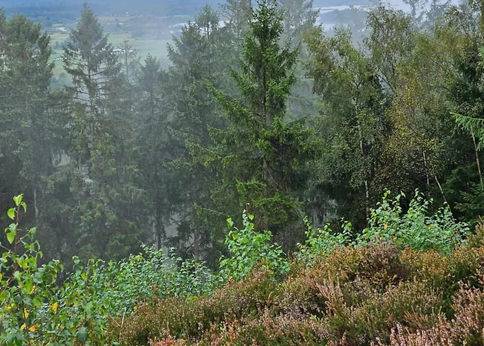 Holmely Nocleg ze śniadaniem Brædstrup