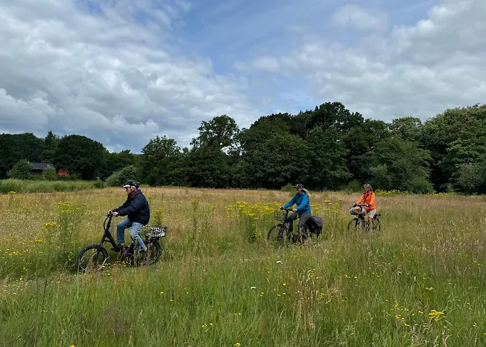לינה וארוחת בוקר Holmely בריידסטרופ