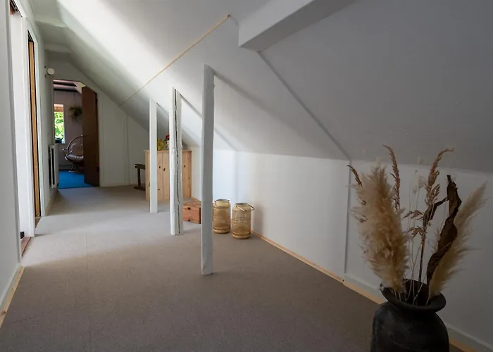 Holmely Brædstrup